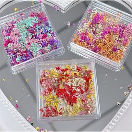 ASDIIT 3D Dried Flowers for Nails Charms, Small Dried Flowers for Resin, Spring Floral Nail Stickers, Cute 3D Nail Art Decorations for Women