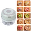 Mini Chopper Durable Electric 100ml Capacity Quickly Chopping Portable Grinder