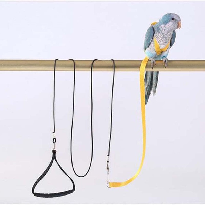 Parrot Harness and Leash Set,Bird Harness for Parrot,Pet Parrot Bird