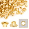 DEVPSISR 250pcs Grommets Eyelets,Copper Small Eyelets for Fabric,Leather,Curtains(Gold 3.1MM)