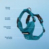 Best Pet Supplies Voyager Step-in Lock Pet Harness – All