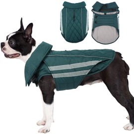 IKIPUKO Dog Coats for Medium Dogs Waterproof Warm Winter Jacket with Leash Hole Reflective Turtleneck Fleece Snowsuit Hook & Loop Snow Jackets for Dogs, Green M