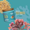 MIELLE ORGANICS Sea Moss Anti-Shedding Curl Pudding 235 ml