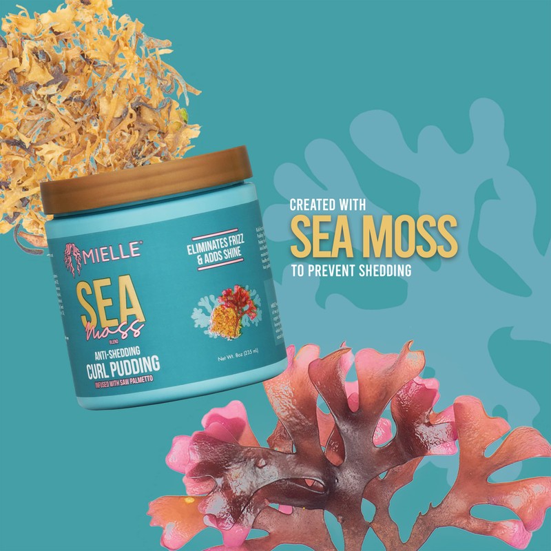 MIELLE ORGANICS Sea Moss Anti-Shedding Curl Pudding 235 ml