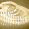 DealLED Super Bright 12V Double Row 600LED LED Strip Light,
