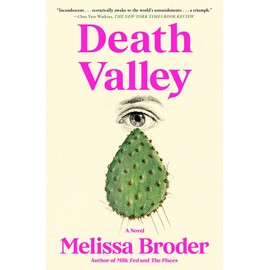 Death Valley: A Novel