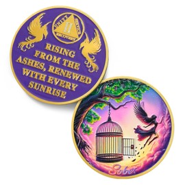 Break Free 2 Year Sobriety Coin - Rising from The Ashes Phoenix 2 Year AA Coins - Recovery Addiction Fairy NA AA Chips and Medallions - 1-10 Prime Living Clean Alcoholics Anonymous Gifts for Men Women