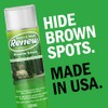 Seymour RENEW Grass and Shrub (Pristine). 17 oz. Can. (Pack