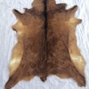 Red Deer Hide Rug Deer Skin Rug Deer Taxidermy Fireplace
