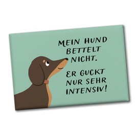 Dachshund Souvenir Magnet Square with Saying Hund bettelt Nicht guckt intensiv für jeden Hundemensch Funny Souvenir Magnet for the Kitchen Funny Decoration