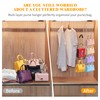 Baoswi 1 Pack Purse Organizer for Closet, 4-Tier Hanging Bag