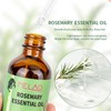 Rosemary Essential Oil, Organic Rosemary Oil for Hair Growth, Aromatherapy