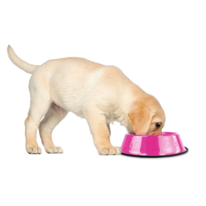 Platinum Pets Non-tip Stainless Steel Dog Bowl, 6 oz, Bubble