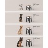 CZPET Dog Bowl Stand with Mat with Adjustable Height and