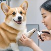 Refoiner Pet Nail Clippers, Dog Nail Clippers, Small Dogs, Beginners,