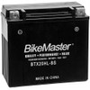 BikeMaster Standard Battery
