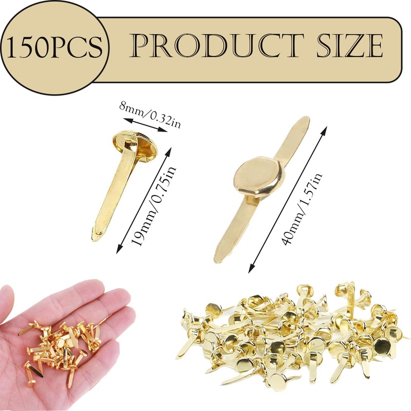 150Pcs Split Pins, 8x19mm Round Head Mini Brass Brads Paper