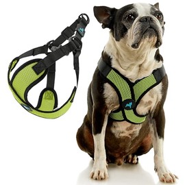 Gooby Comfort X Step in Lite Dog Harness - Choke Free, Escape Free with Light Breathable Mesh - Step in Dog Harness for Small and Medium Dogs - Quick Release Buckle, Metal D-Rings - Green, Medium