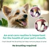 Fresh Breath Clean Teeth Oral Care Gel, 2oz