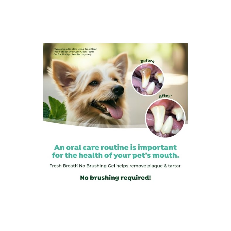 Fresh Breath Clean Teeth Oral Care Gel, 2oz