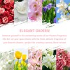 Colomix Top 10 Floral Fragrance Oils Set, Essential Fragrance Oils