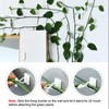 kissral Plant Clips Large Pack of 50 Wall Mounts for