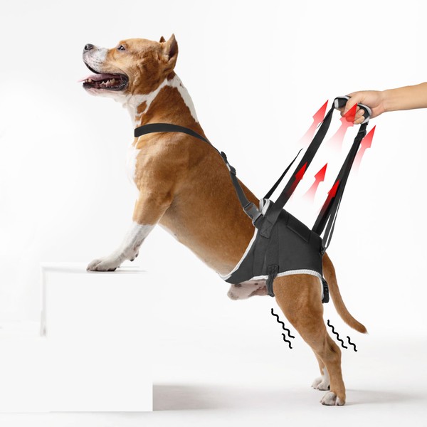 Dog Hip Support Brace - for Surgery Rehabilitation and Mobility
