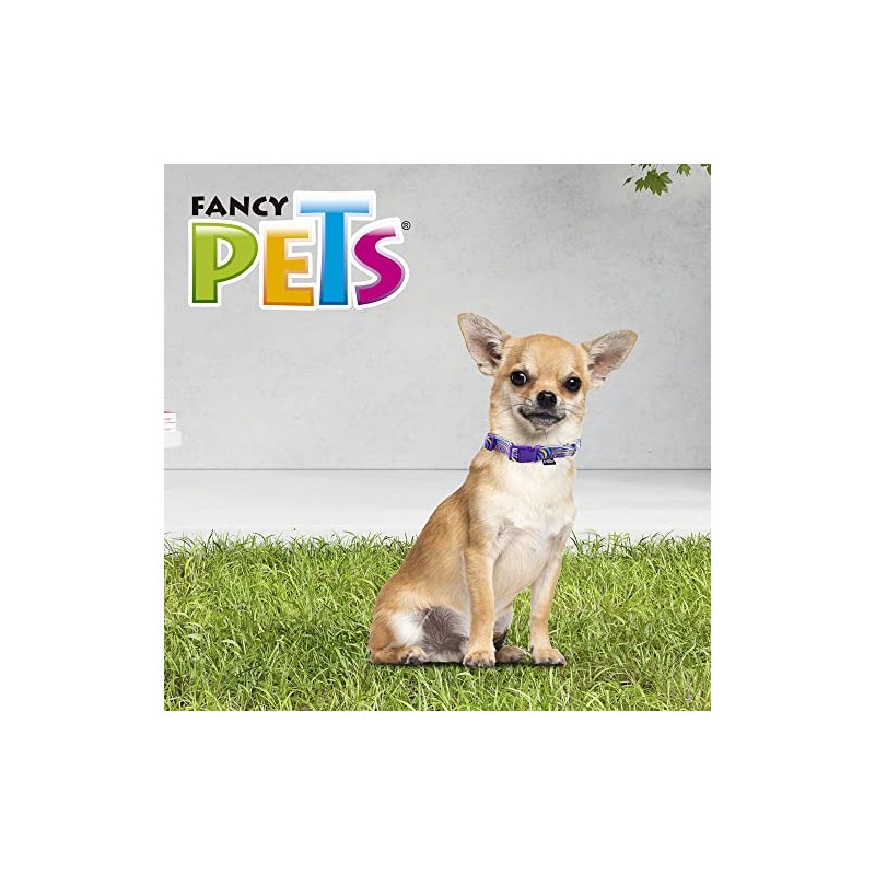 Fancy Pets Collar Galería Aqua Pop Tamaño Extra Chico para