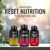 Reset Nutrition Carnitina 500mg Quema Grasa Energia 60cáps Sabor