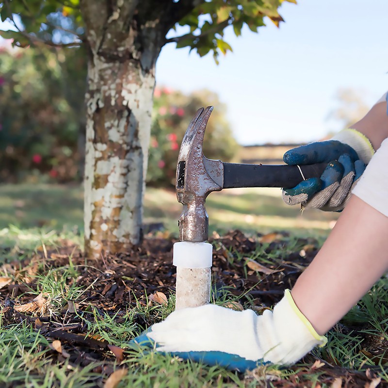 Jobe’s Slow Release Tree and Shrub Fertilizer Spikes, Easy Plant