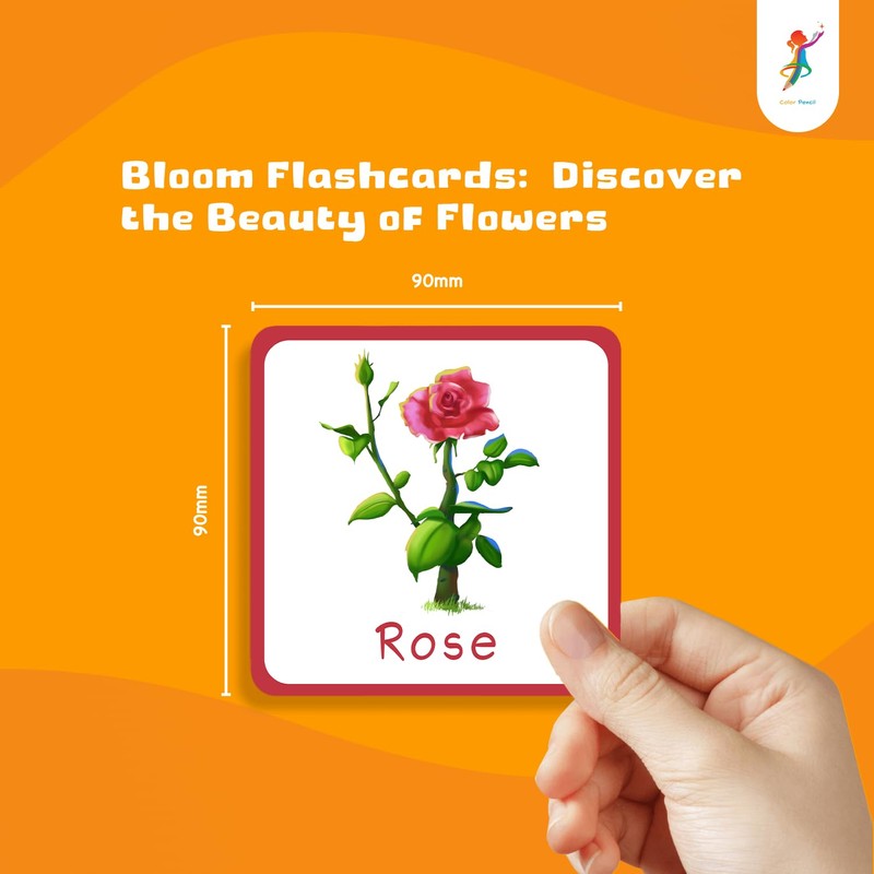Color Pencil Bloom Flower Flashcards - 36 Cards in a