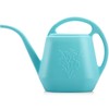 Fasmov 1-Gallon Plastic Watering Can with Comfortable Handle, Garden Watering