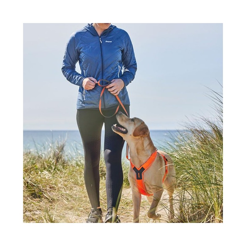 Non-stop dogwear Line Harness 5.0 |214| Guide and Everyday Harness,