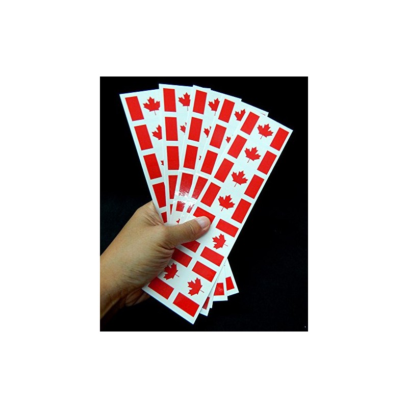 40 Removable Stickers: Canada Flag, Canadian Party Favors, Decals