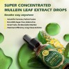 Mullein Leaf Drops for Lungs – Lung Cleanse & Detox