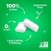 PUR Gum Aspartame Free Chewing Gum Spearmint 100% Xylitol 55