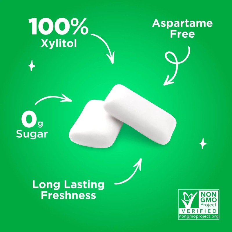 PUR Gum Aspartame Free Chewing Gum Spearmint 100% Xylitol 55