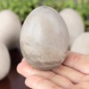 Factory Direct Craft Group of 6 Cement Eggs for Easter