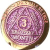 RecoveryChip 3 Month AA Medallion Reflex Pink Glitter Gold and