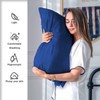 Mulberry Silk Pillowcase for Hair and Skin Pillow Case with