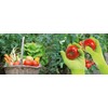Mapa Spoon 1 x Polyamide Garden Glove - Super Soft