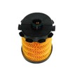 Purflux C446 Fuel Injectors