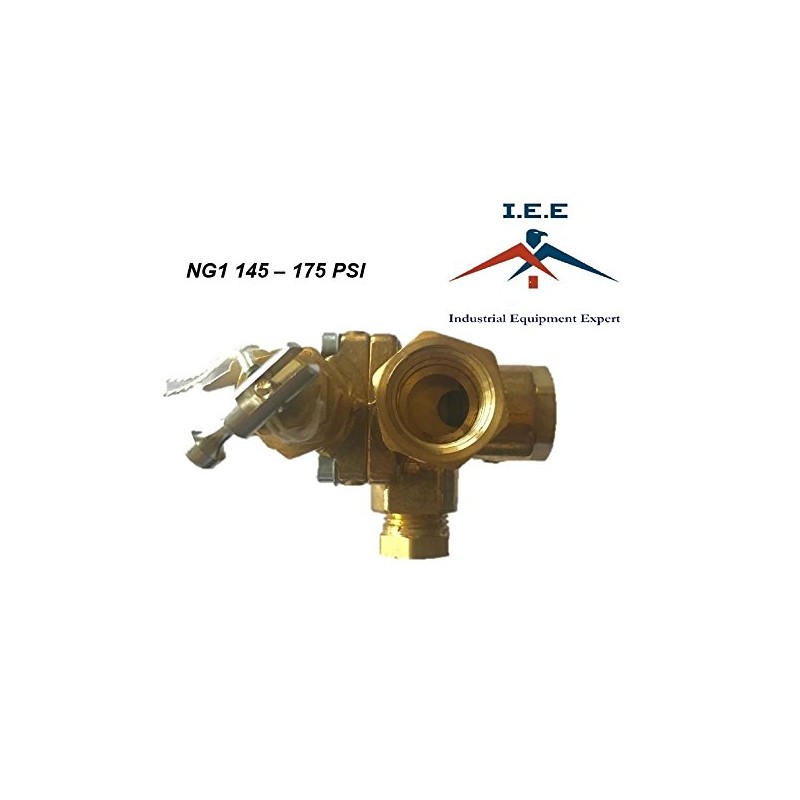 IEE NG1 1/2" x 1/2" NPT GAS AIR COMPRESSOR UNLOADER