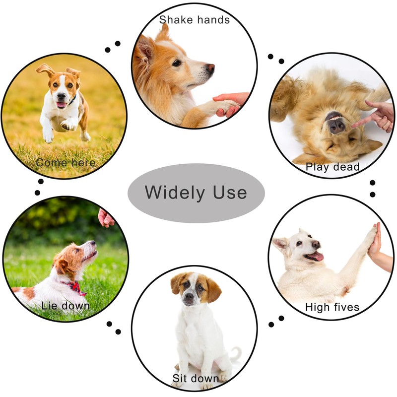 HoAoOo Pet Clicker for Dogs/Cats/Horses/Birds or Other Animals - Clickers