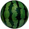 Igarashi Beach Ball 33.5 inches (85 cm), Real Watermelon Ball,