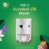 Air Wick Plug in Scented Oil Refill, Air Freshener, Lavender