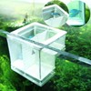 Isolation Mesh Box, Fish Breeding Net Fish Aquarium Fish Breeder