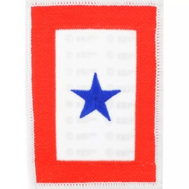 EEINC USA FAMILY MEMBER IN SERVICE BLUE STAR Embroidered Patch 2-1/2"X3-1/2" (3851)