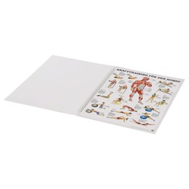Sport-Tec Mini Poster Booklet Fitness 12 Posters Strength Training Spine Gymnastics