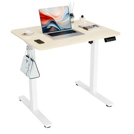ERGOMAKER Electric Standing Desk, 31.5" x 23.6" Height Adjustable Sit Stand Desk with Splice Board for Home Office, Computer Desk Memory Preset (White Frame, Gold Oak Desktop)